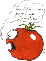 La Tomate (dite la Parano)